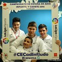 CE ESCO 2016 0011